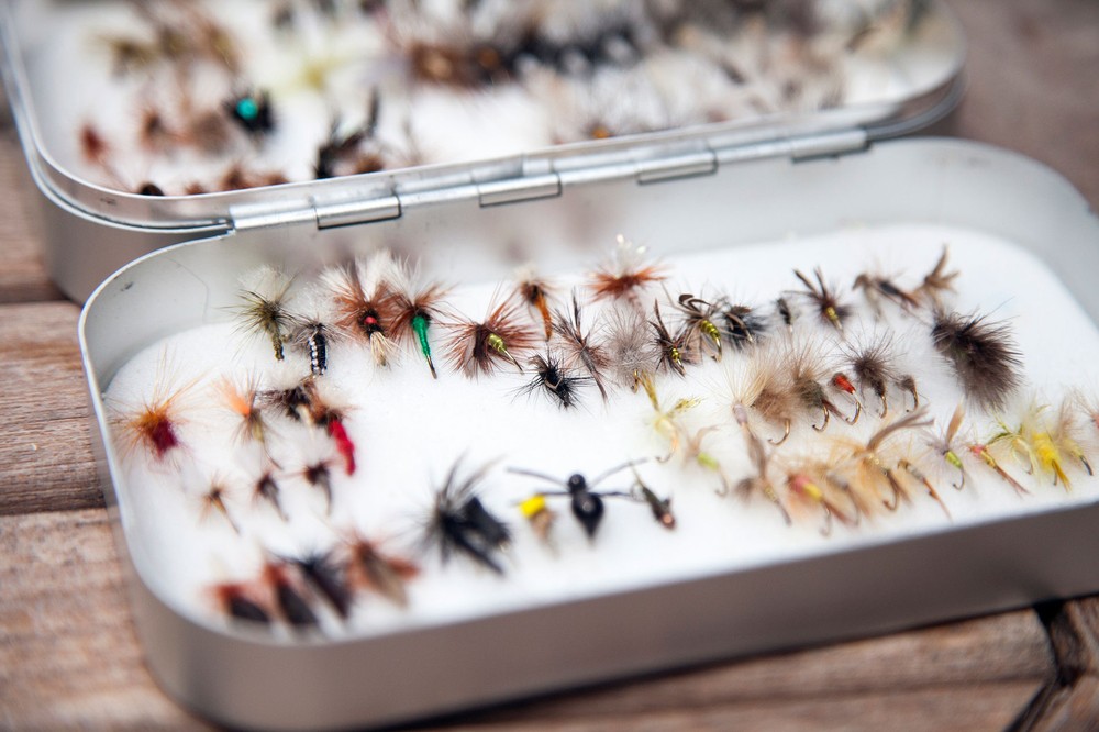 Fly-fishing-with-Tom-Adams-from-Pitt-Cue-Co-by-Emli-Bendixen_010615_0011