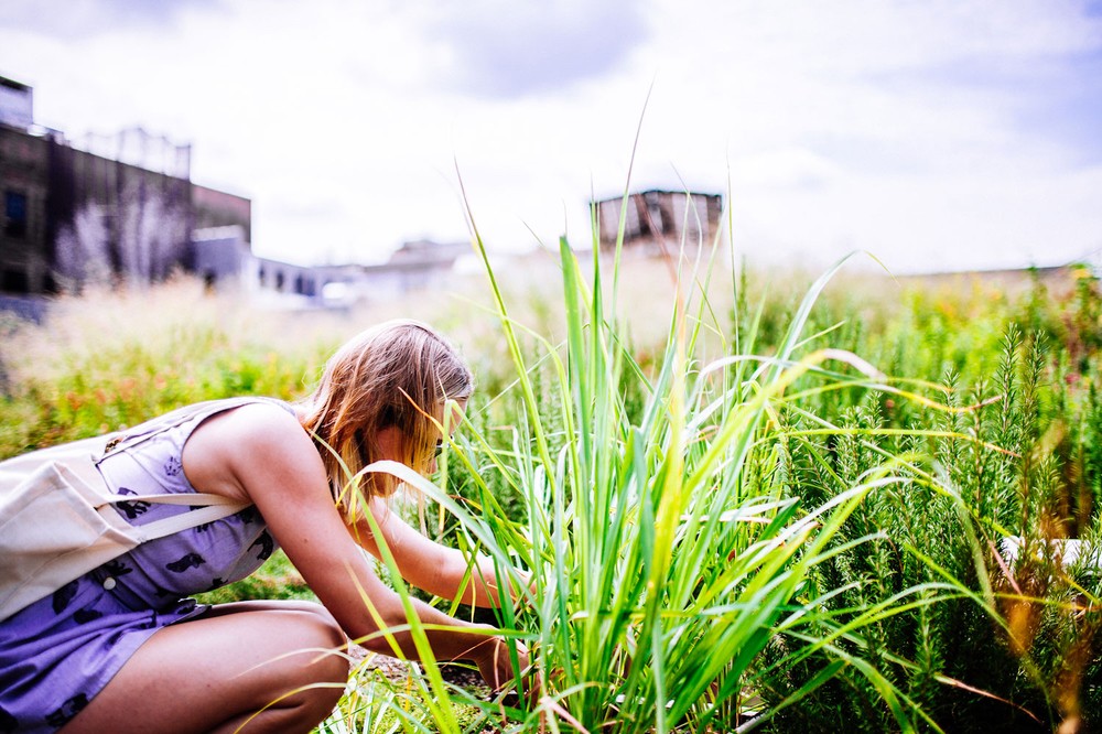 courtney-chopping-lemongrass