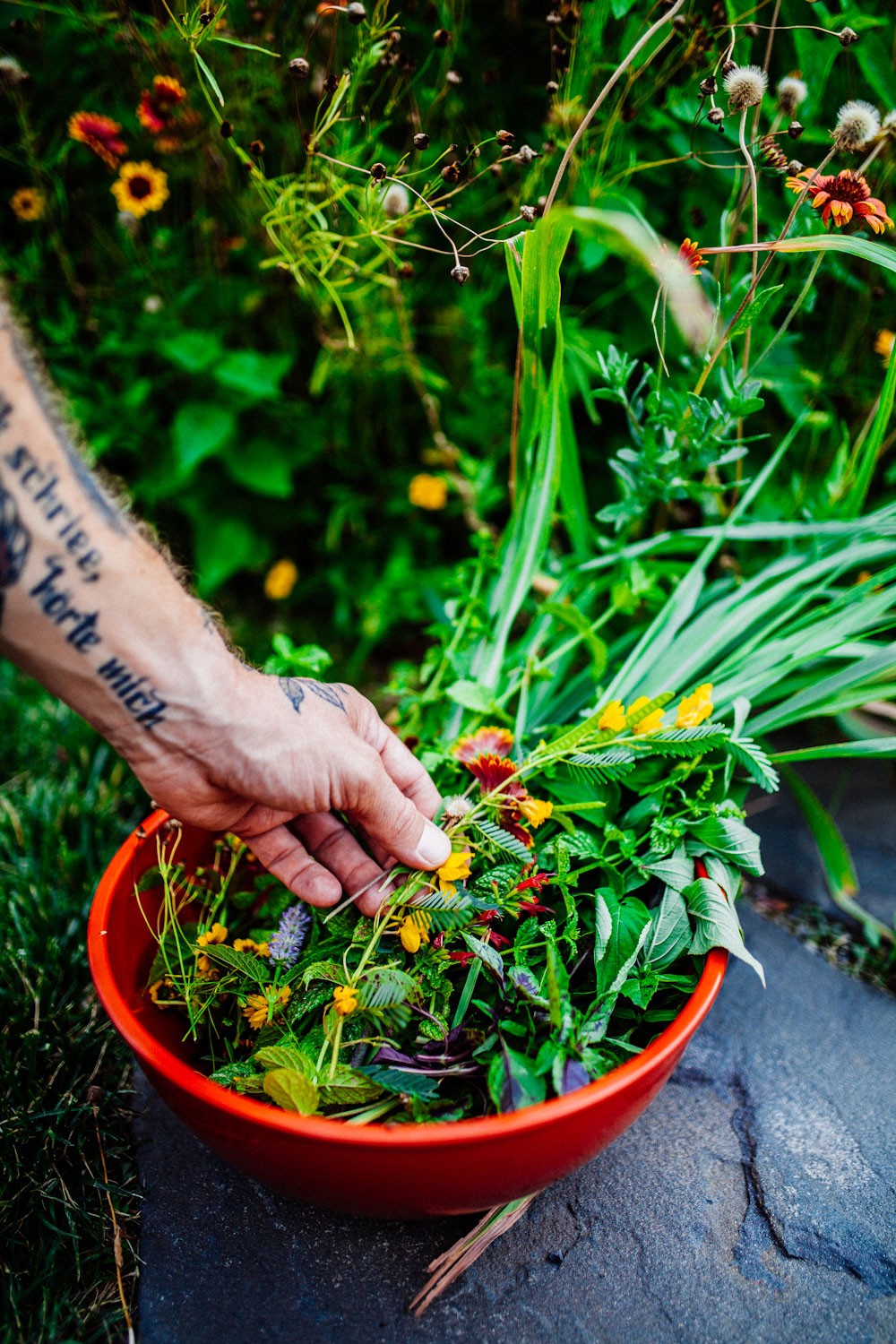 sam-with-selected-herbs-from-garden