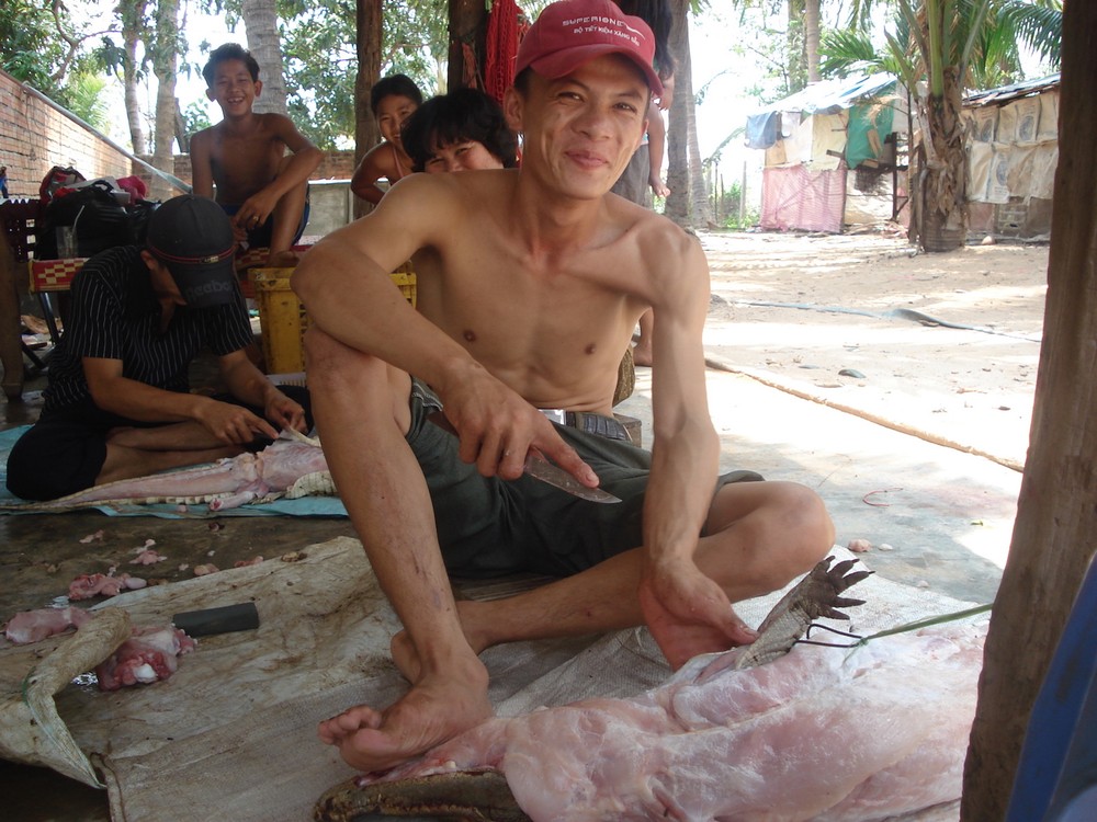 villen krokodil Cambodja