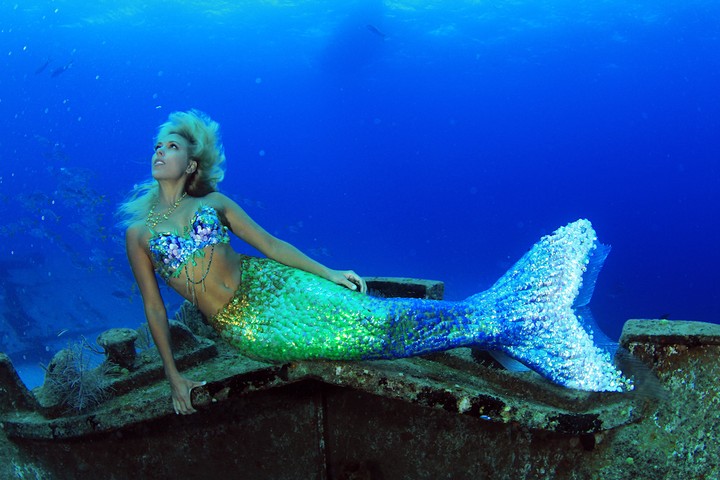 The Activist Mermaid Motherboard 
