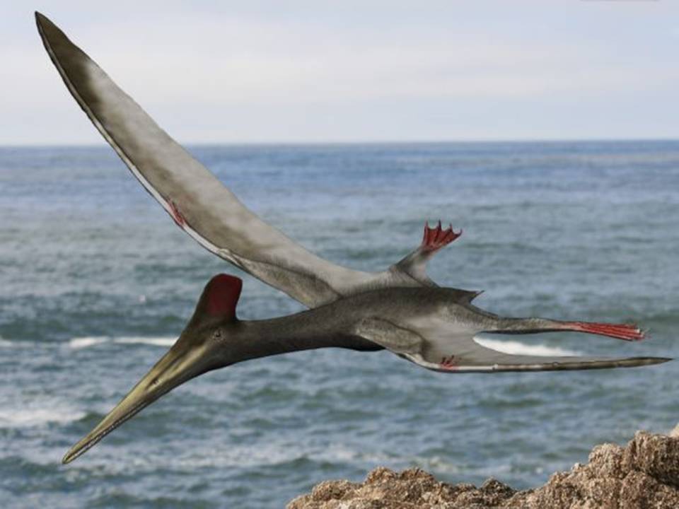 flying prehistoric reptiles