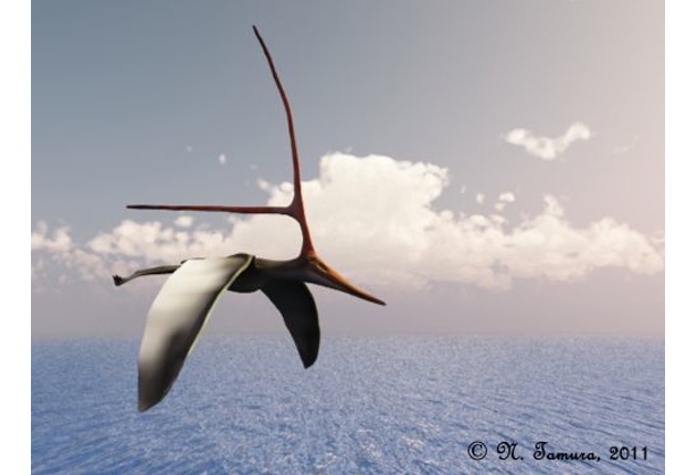 Novo pterossauro brasileiro chama a atenção por crista bizarra