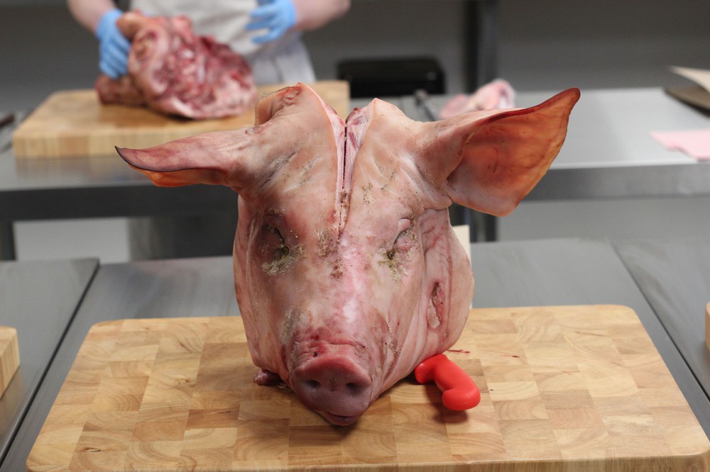 A Severed Pigs Head Showed Me The Importance Of Ethical Farming MUNCHIES