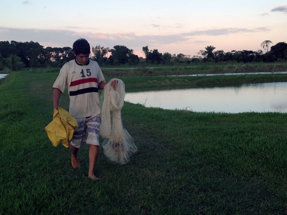 Preparing-to-harvest-clam