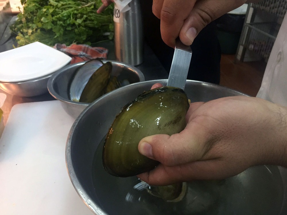 clam-bolivia-chef