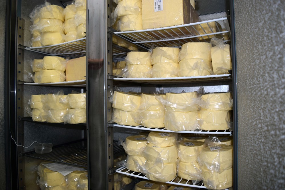 gringa-dairy-london-peckham