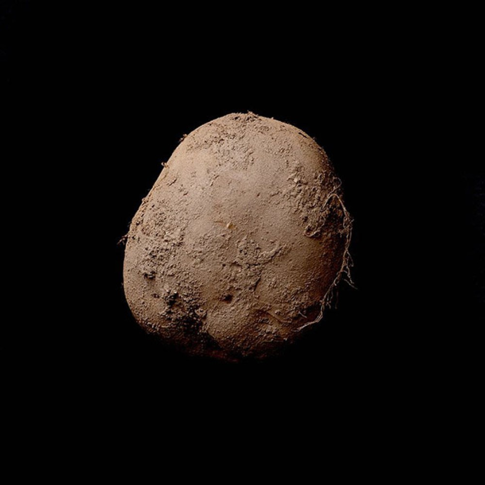 kevin-potato-photo-1