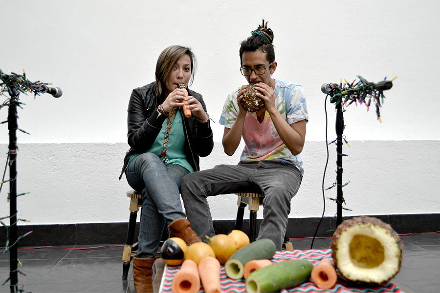 Concierto Orgánico Pasto, sonido experimental con frutas y verduras