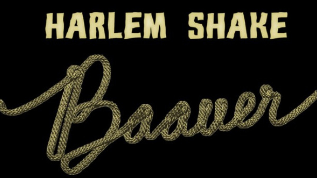 Holy shit. Harlem Shake Baauer. Harlem Shake shit. Harlem Shake. Halem Shake.