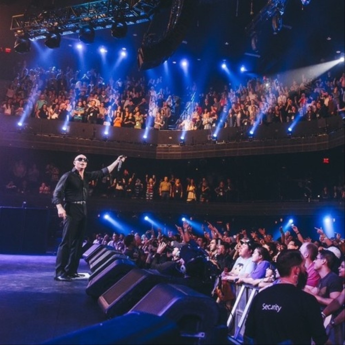 Last Night a Pitbull Concert Saved My Life Noisey