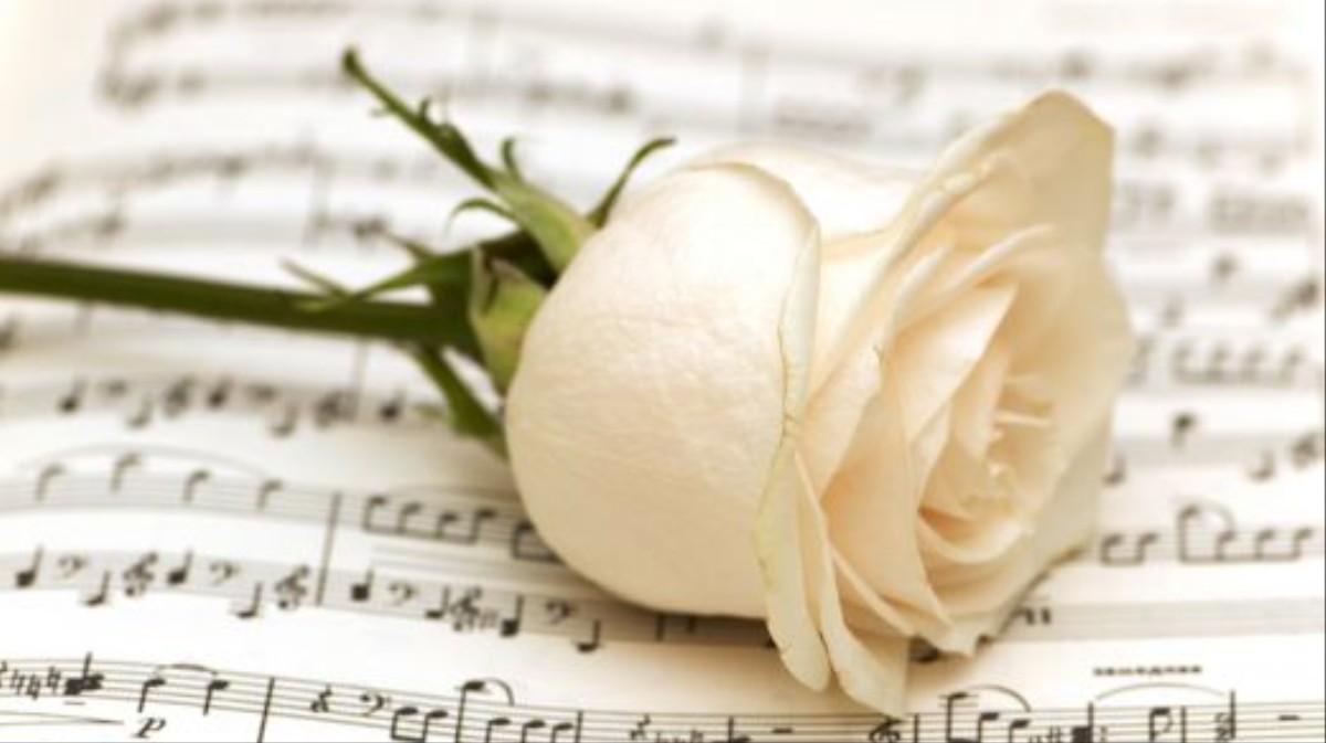 Белые розы Ноты