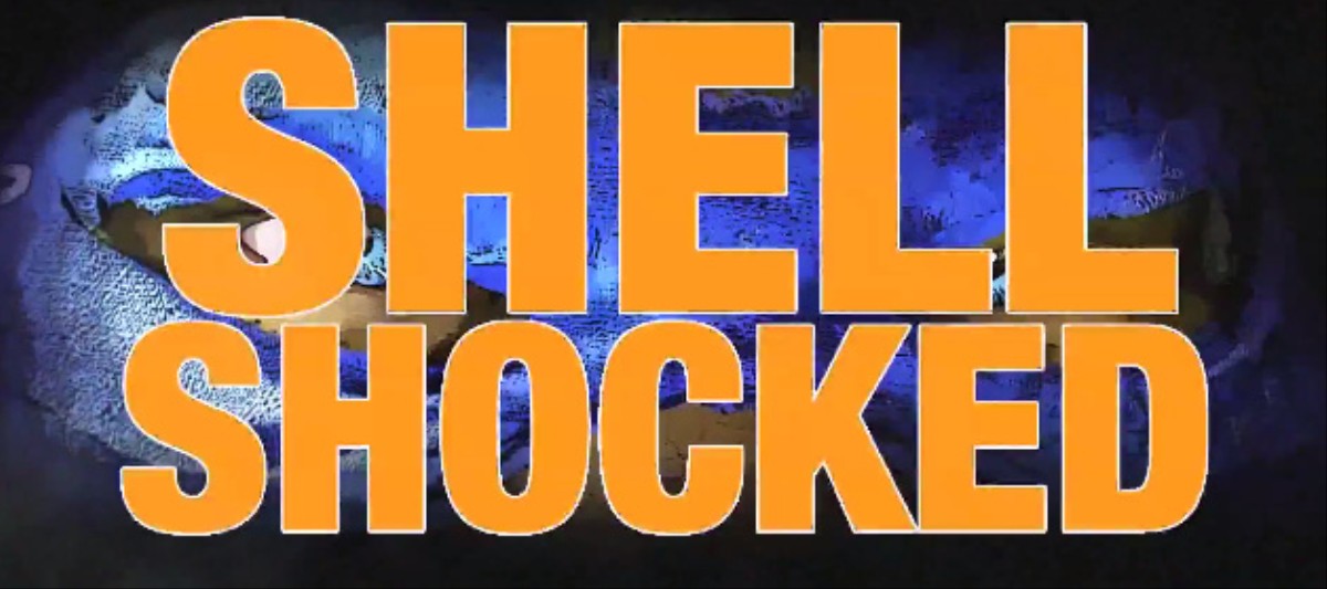 TMNT 2014: Music Video - Shell Shocked 