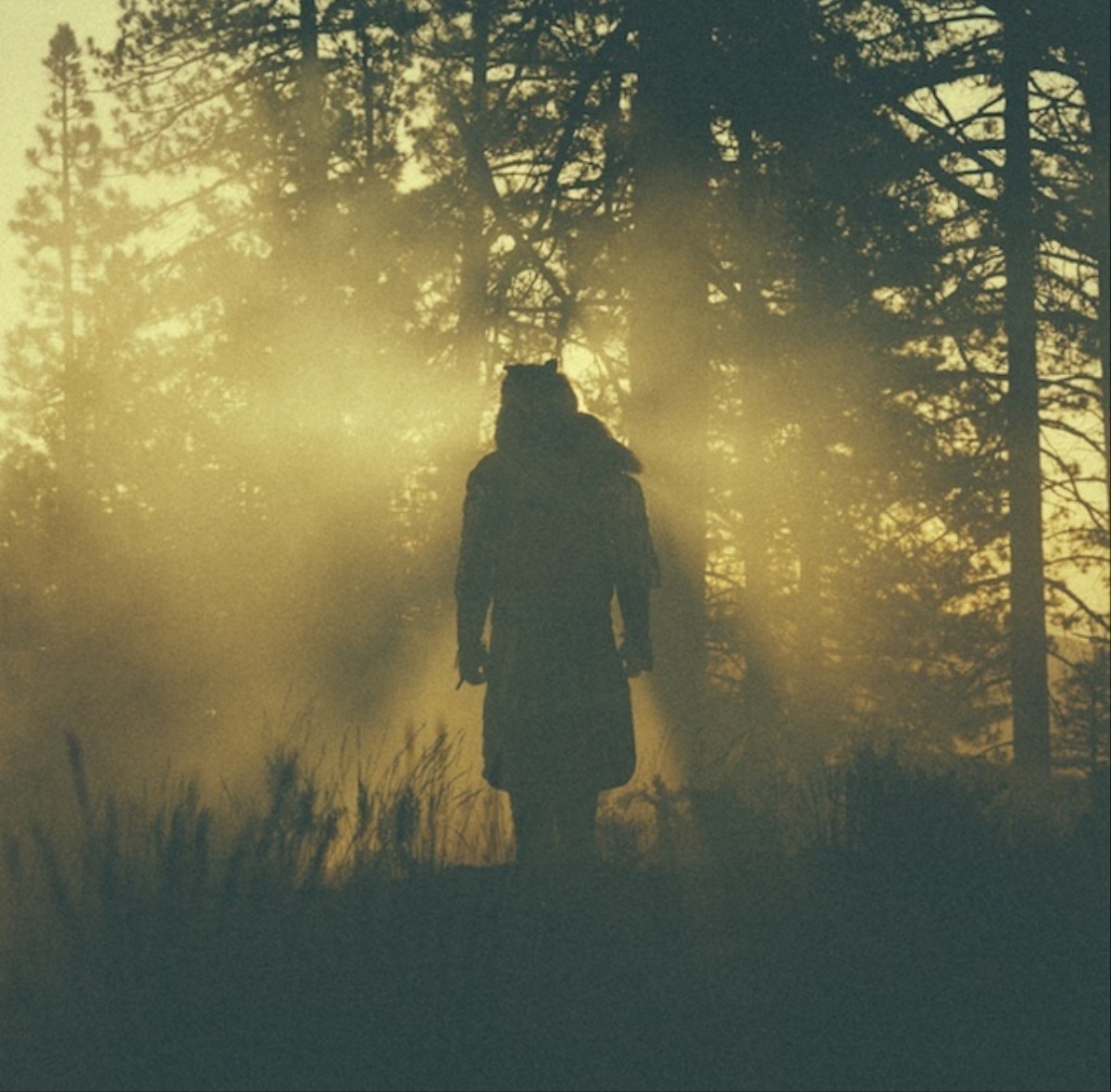 Thundercat Just Announced a New Mini-Album Called 'The Beyond / Where ...