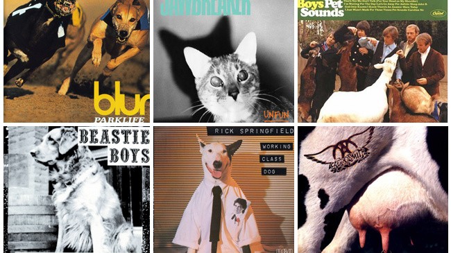 Want to Feel OLD? The Animals from These Classic Album Covers Are Most  Definitely Dead
