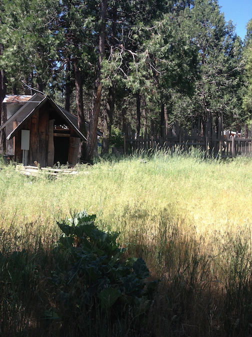 What S It Like To Make Music In Complete Isolation In A Cabin In