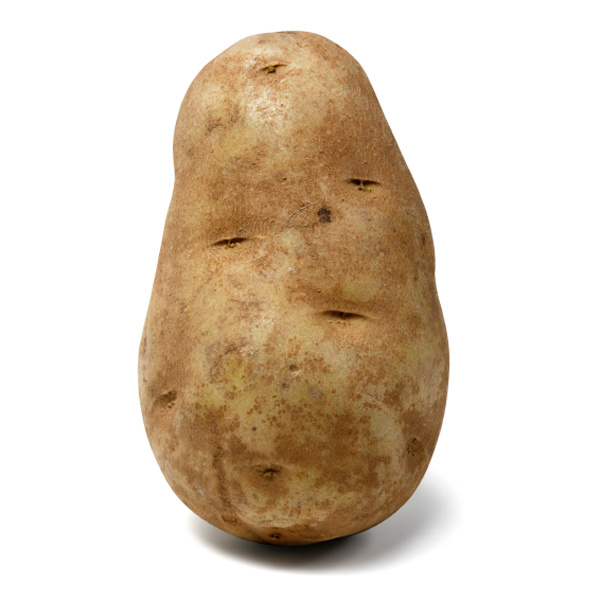 [Image: potato-013.jpg]