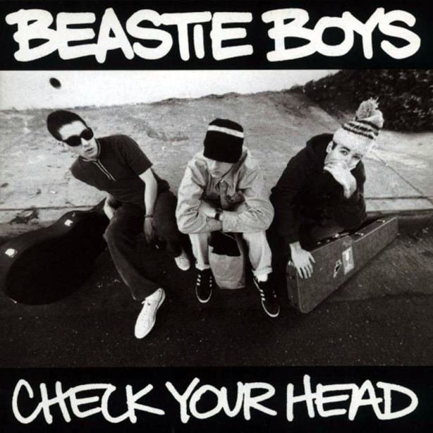 レコード BEASTIE BOYS – HIP HOP SAMPLER❗️ | cubeselection.com