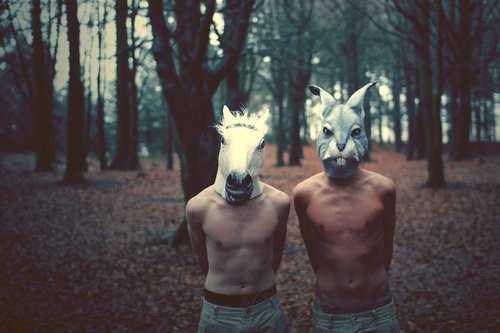 animal masks photography