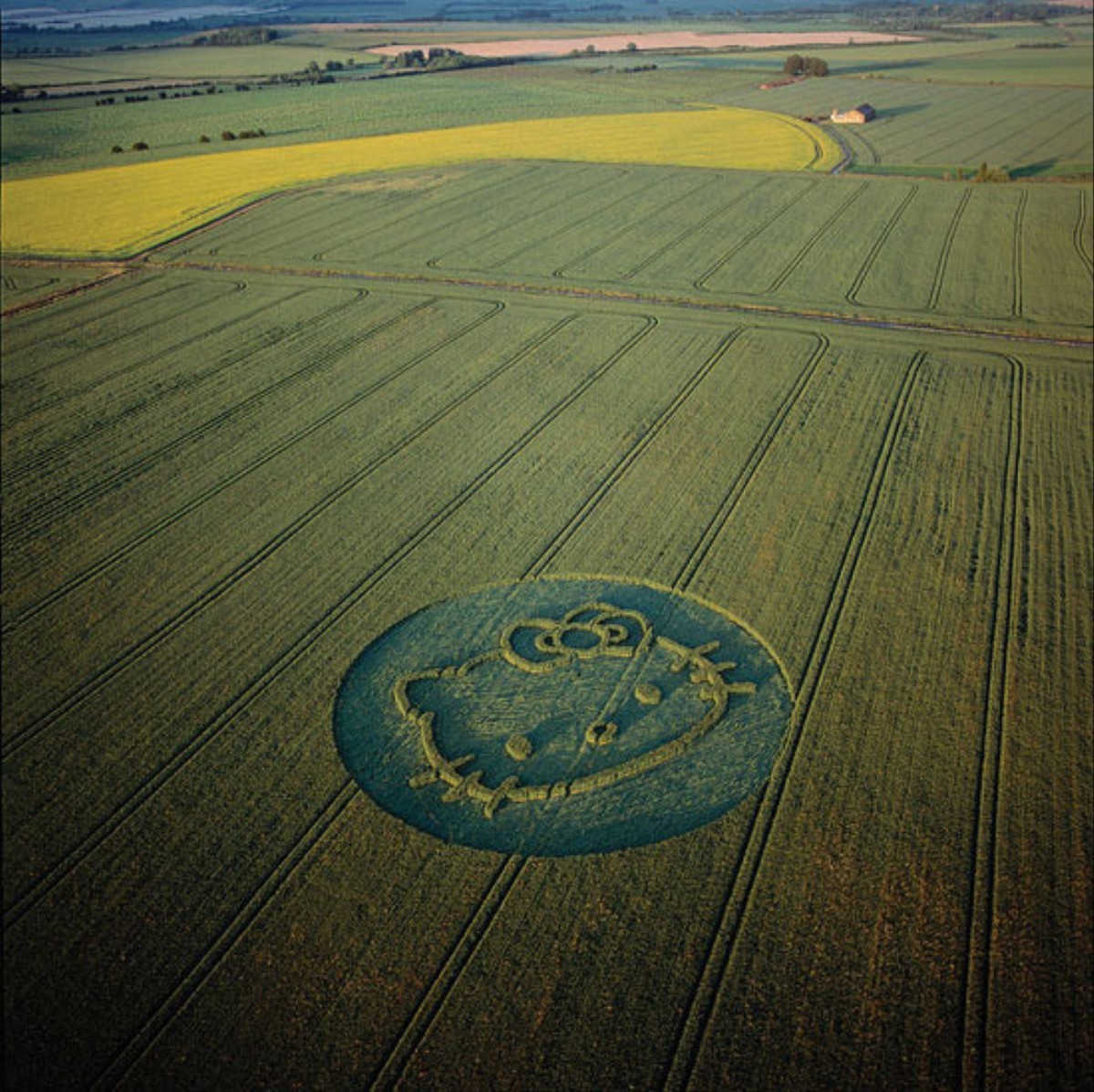 Viceland Exclusive: Surface To Air's Hello Kitty Crop Circle - VICE