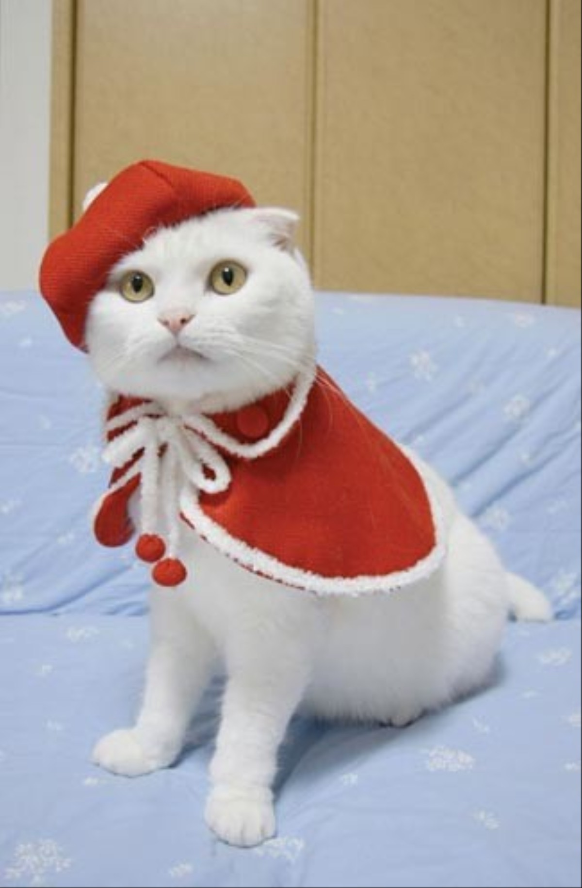 Новогодний костюм кота для ребёнка