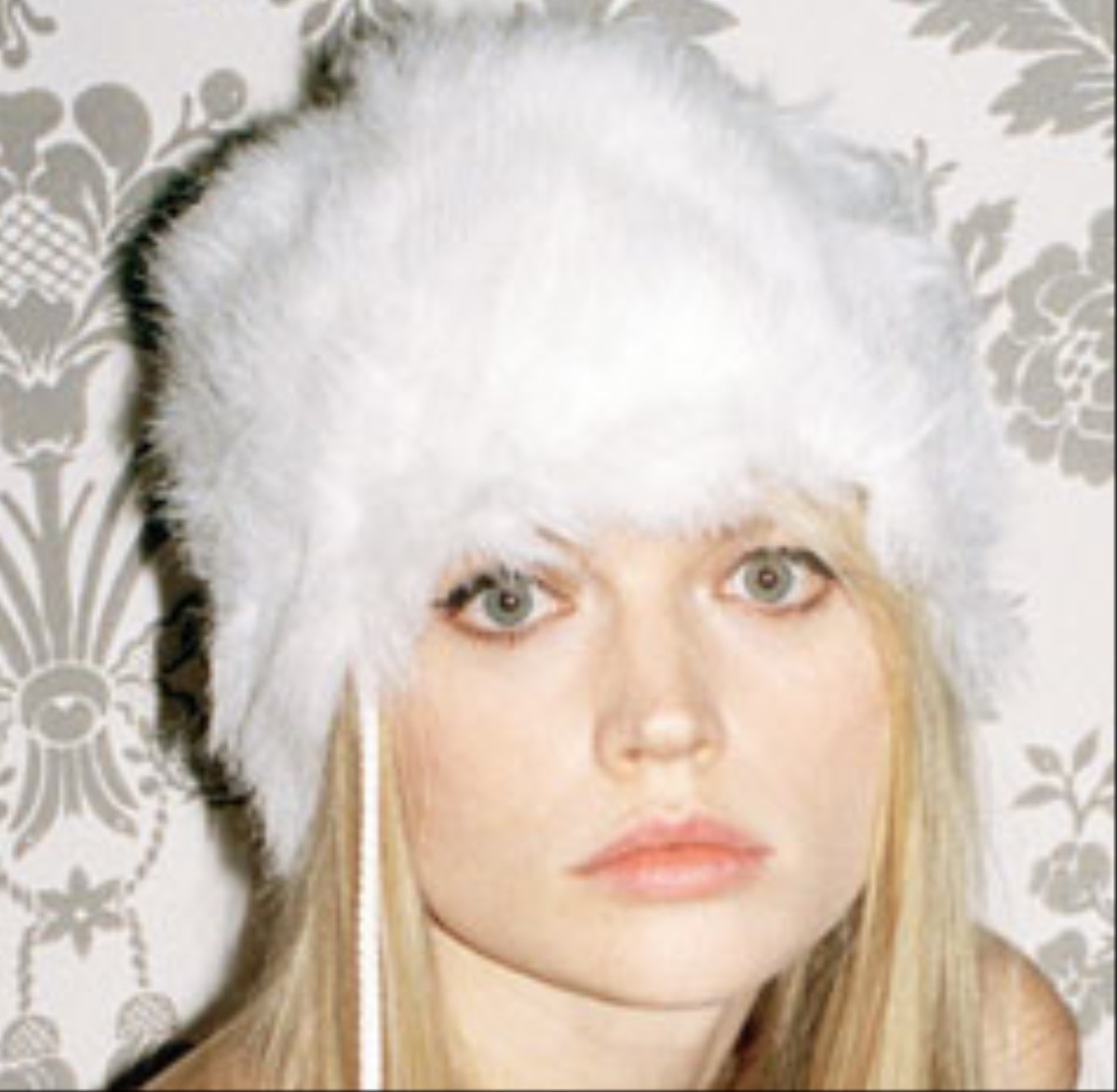 Rabbit in the Headlights VICE