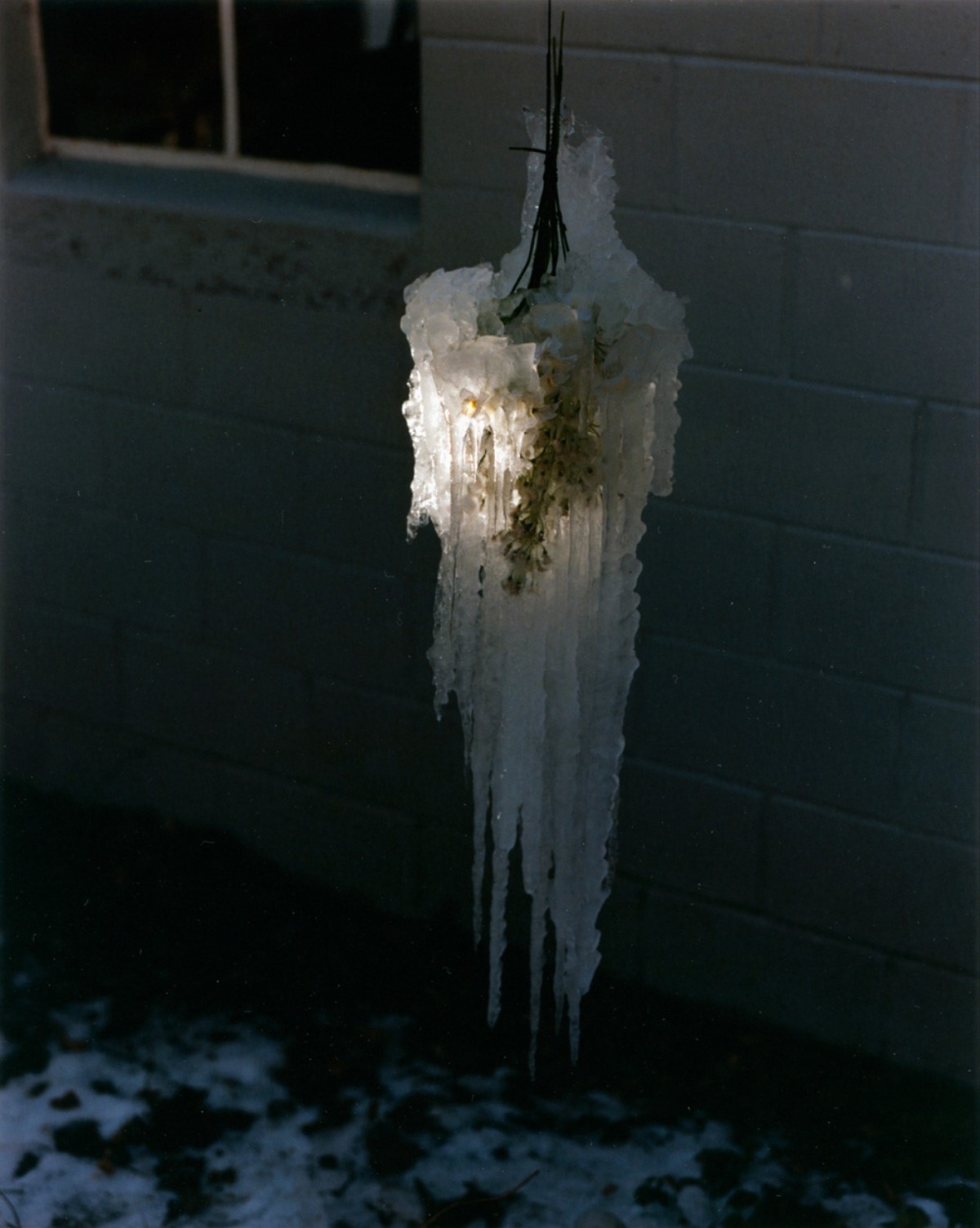 East of the Sun, West of the Moon VICE