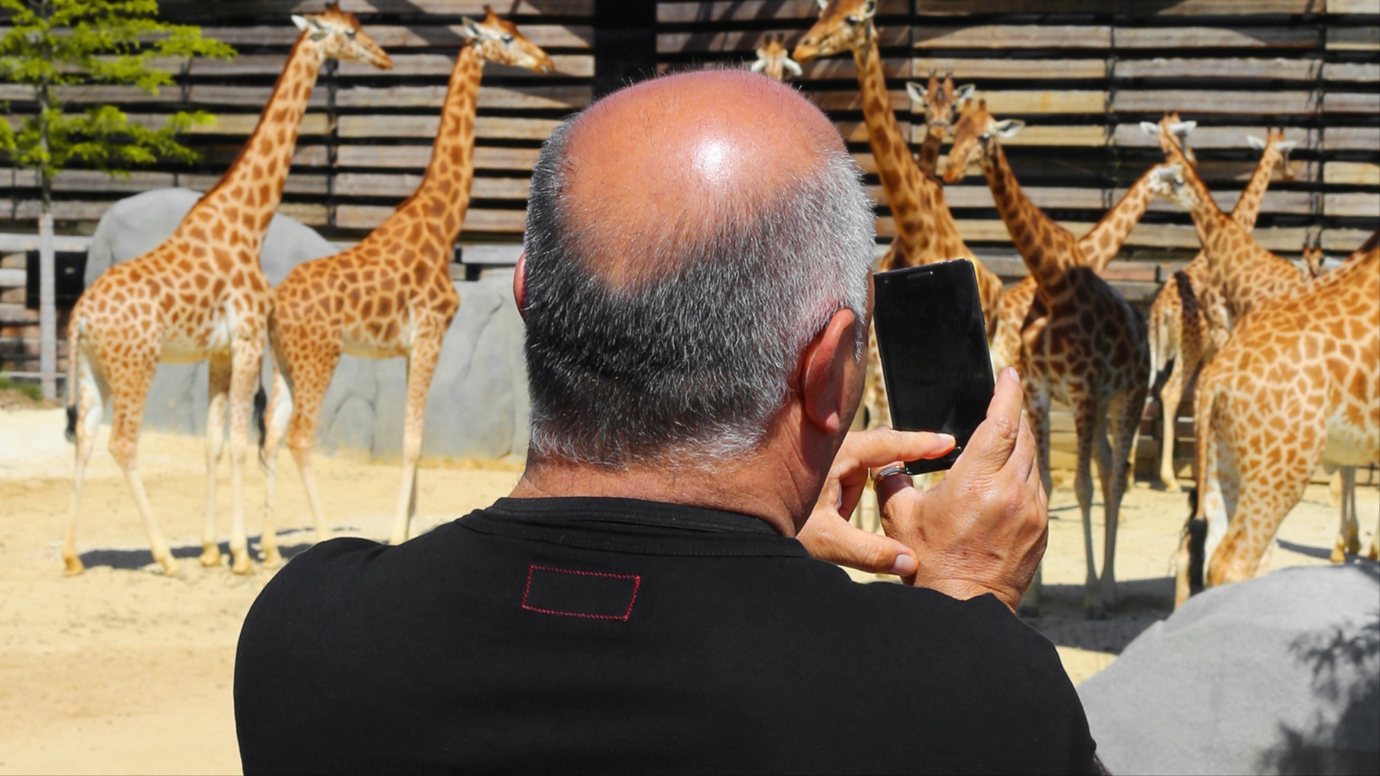 La Faune Cachée Du Nouveau Zoo De Vincennes Vice