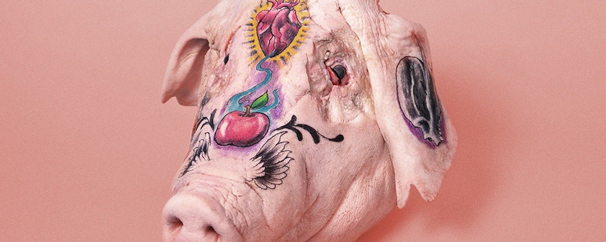 This Is What Happens When You Get Tattooists to Make Pigs' Heads Look Sexy