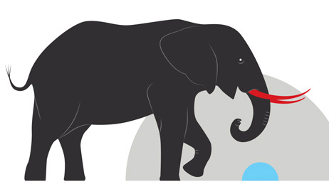 Infographic: How Poaching Is Destroying Animal Populations