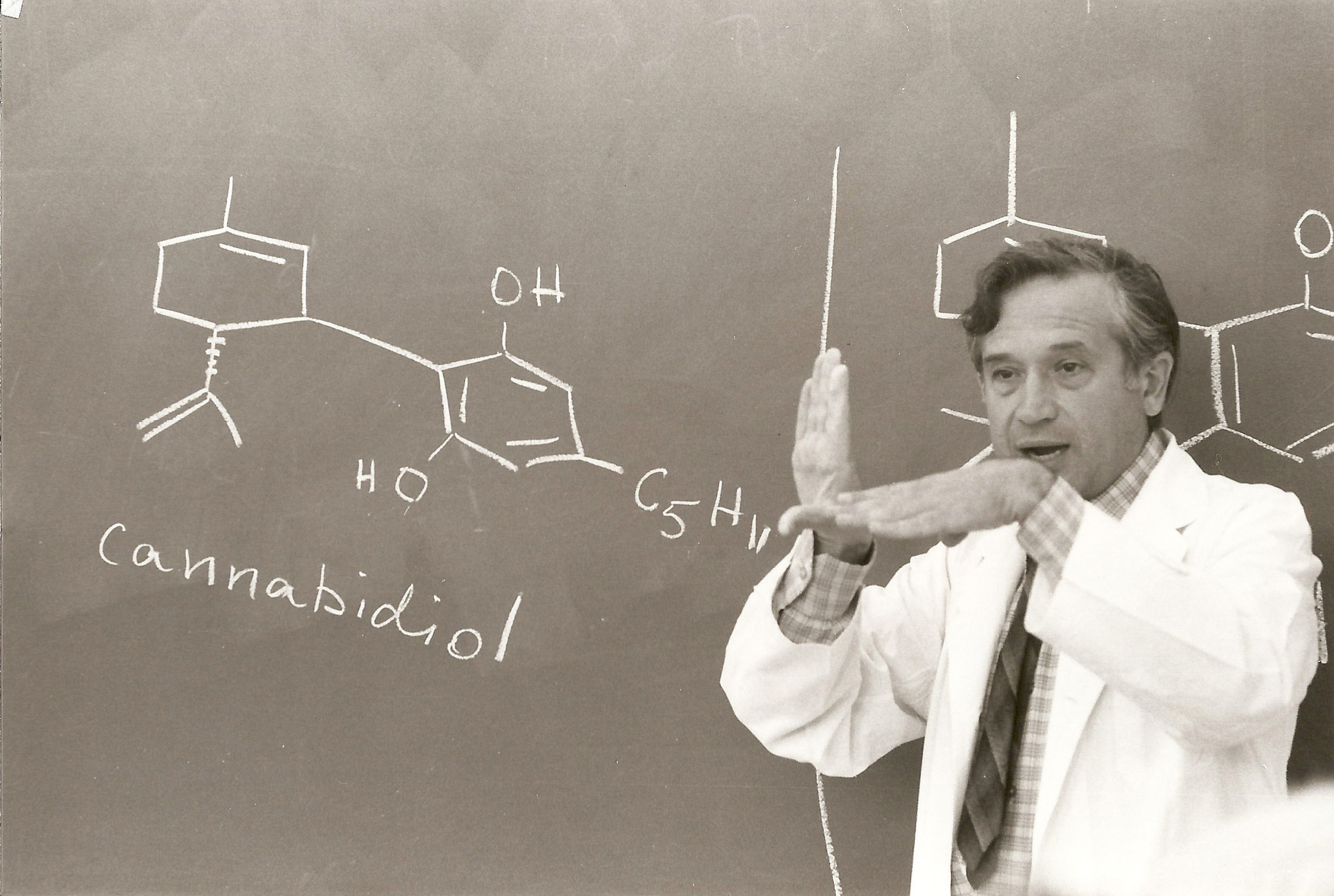 La ciencia detrás de la selección de semillas de cannabis – LaFlecha