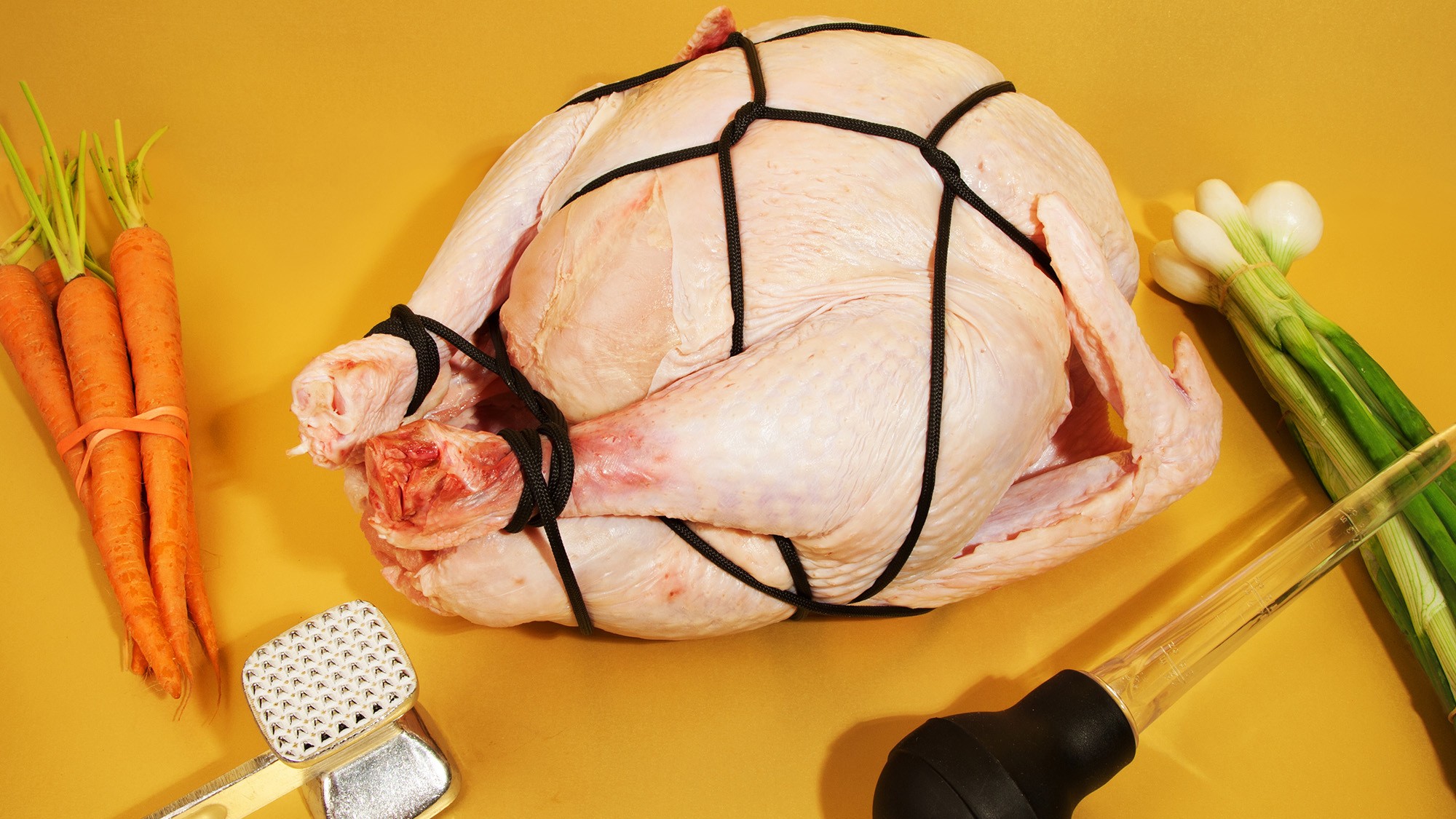 Funny Turkey Porn - Dirty Birds: Thanksgiving Food Porn, Literally - VICE