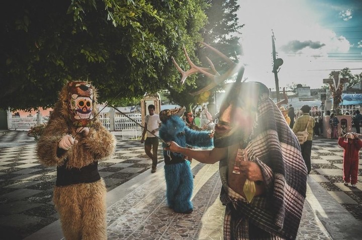 50 Photos That Might Make You Happy