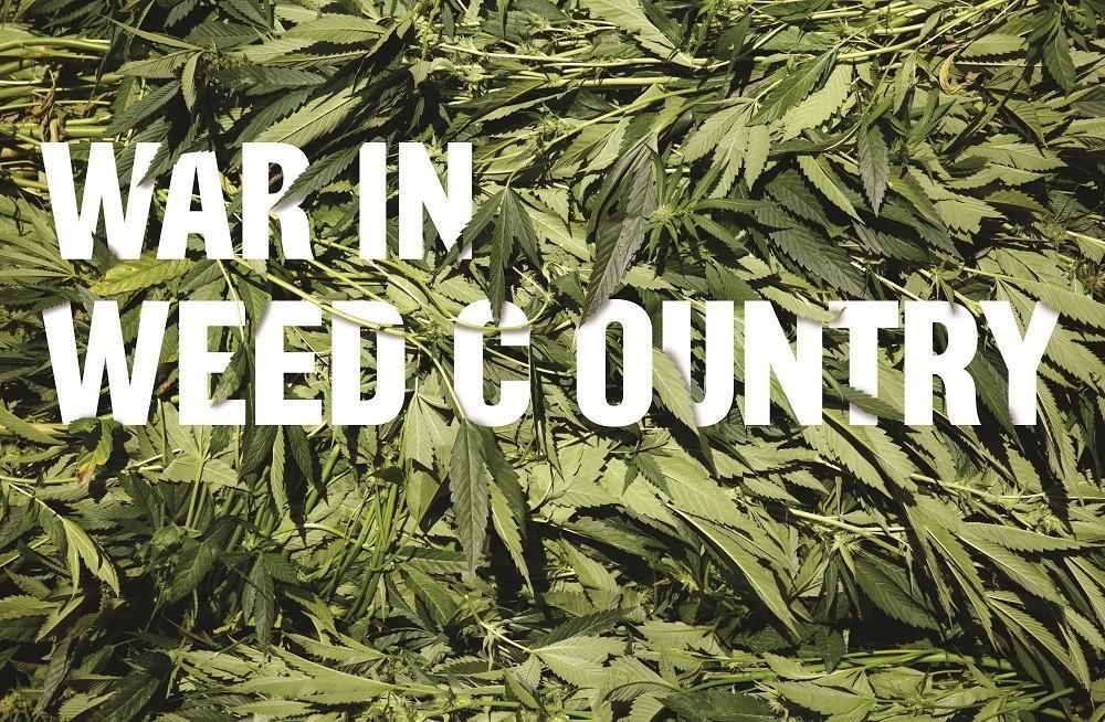 War in Weed Country