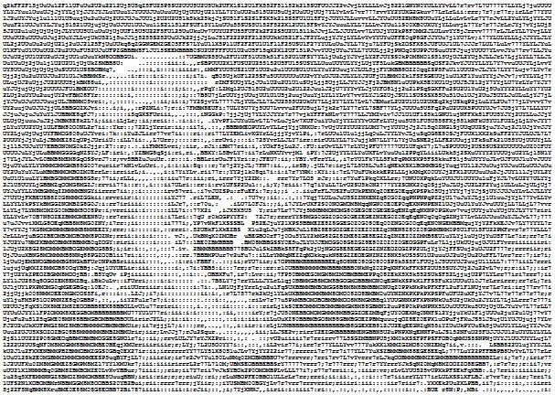 Ascii Art Sex 10