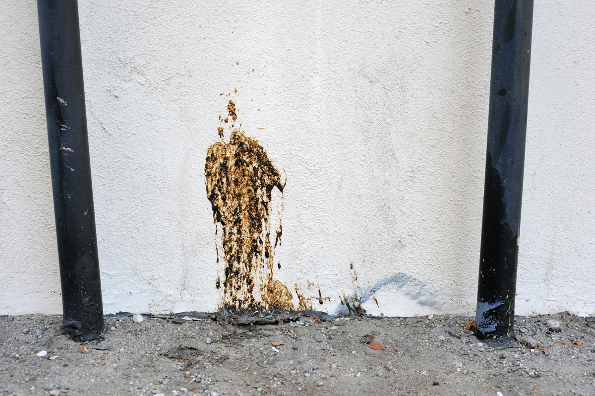 Hollywood's Mysterious Poop Graffiti VICE