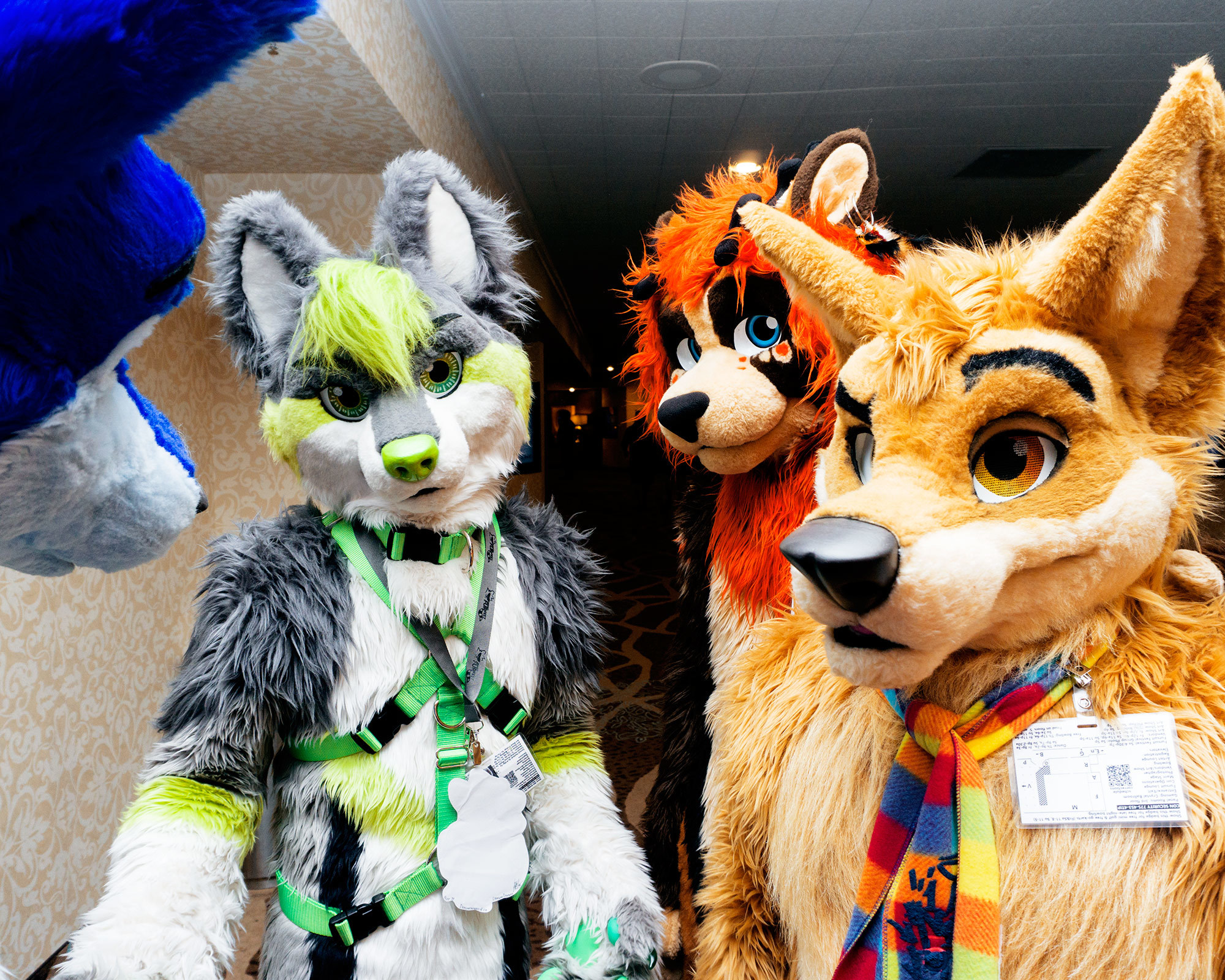 Photos Of The Fastest Growing Furry Convention In America 460 1465144186 