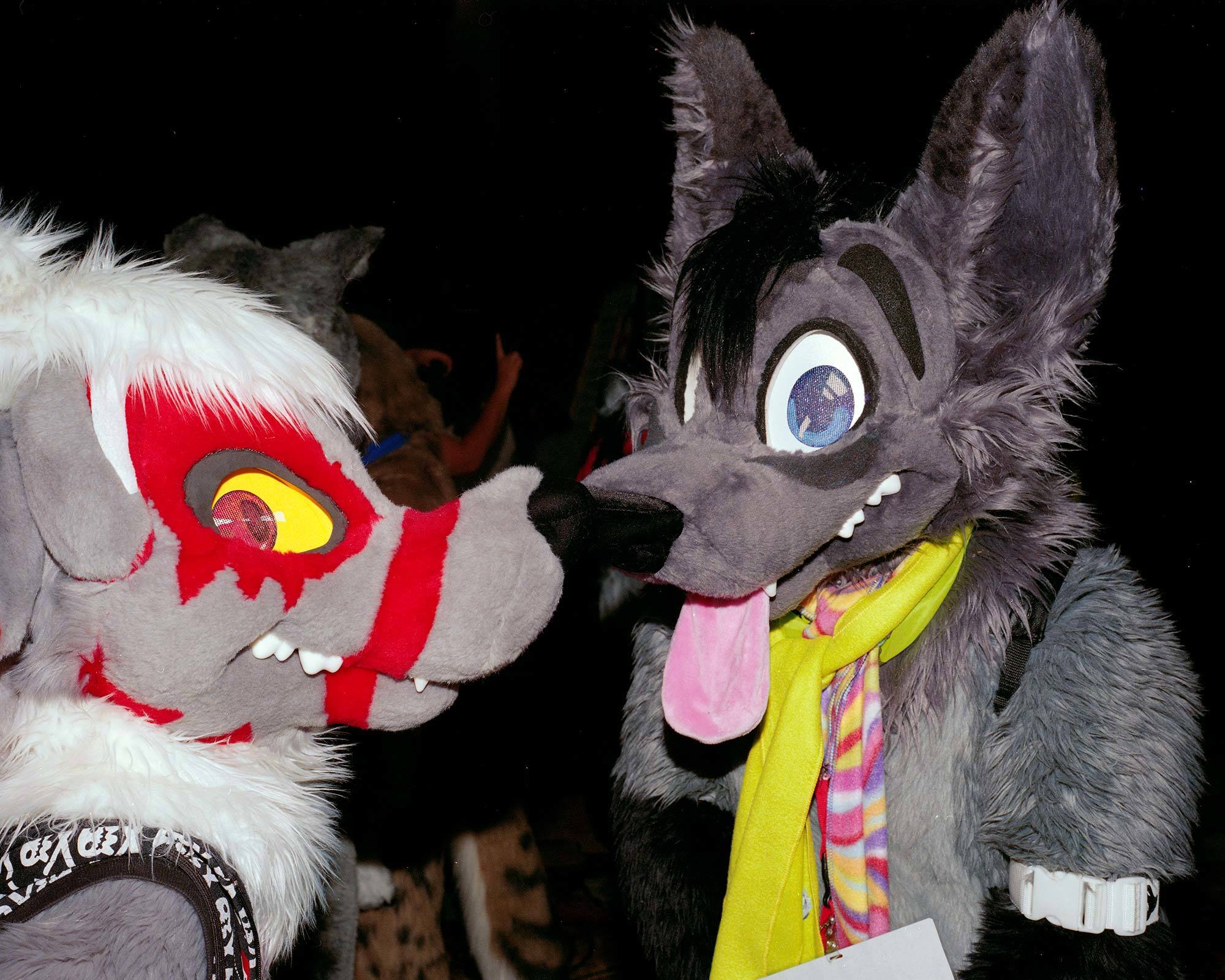 Photos Of The Fastest Growing Furry Convention In America Vice