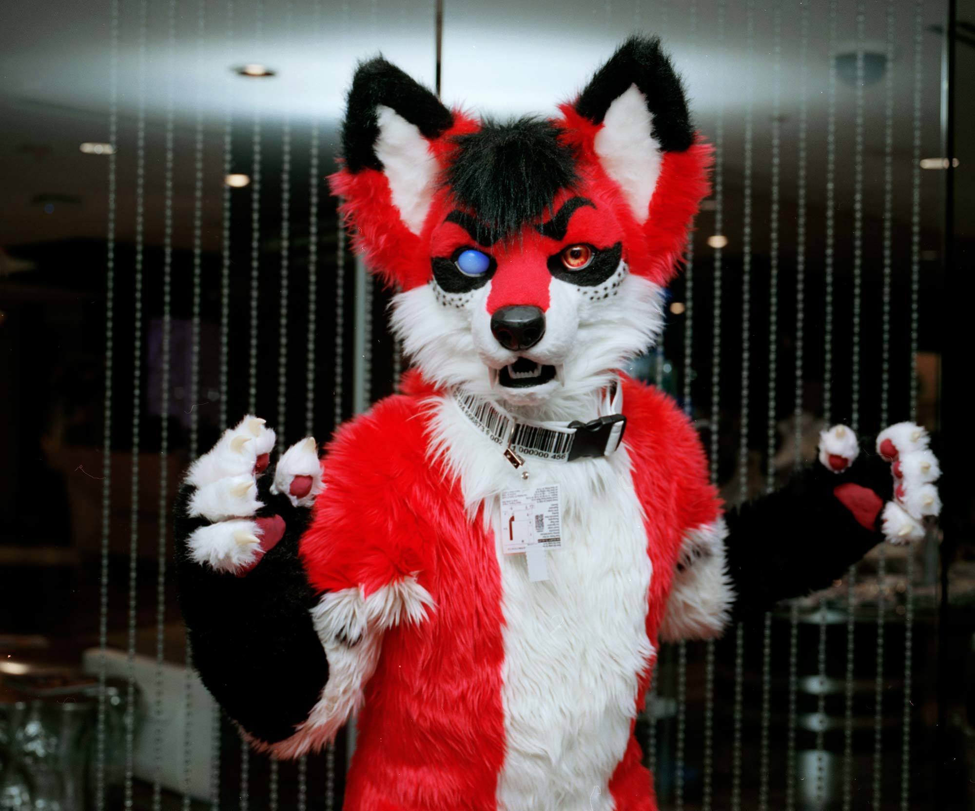 Photos Of The Fastest Growing Furry Convention In America Vice