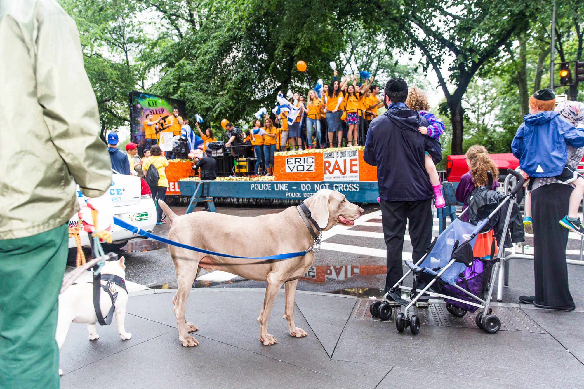 New York's ProIsrael Parade Was Rainy, but AntiZionists Still Showed