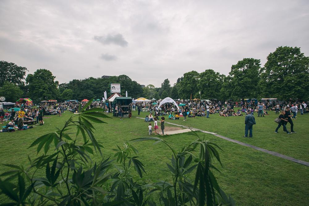Photos from Amsterdam's Cannabis Liberation Festival VICE