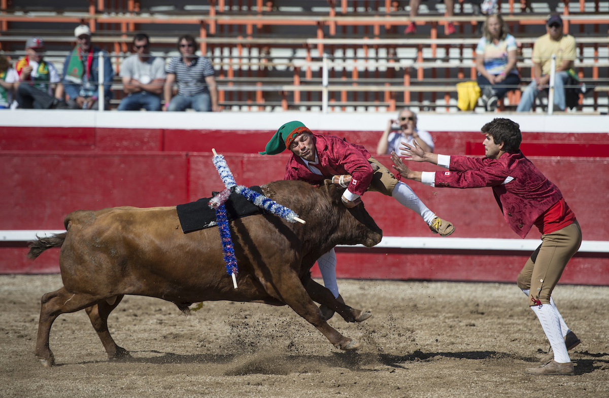 Photos from a Portuguese Bloodless Bullfighting Ring - VICE